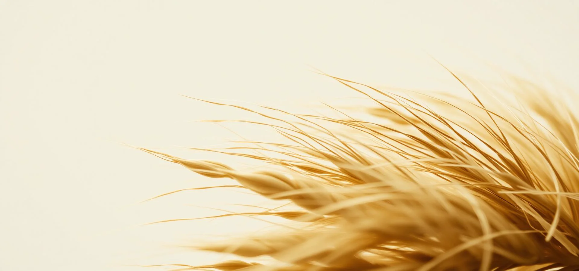 Close-up texture of organic cotton and hemp fibers